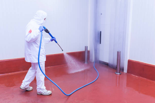 Best Warehouse Cleaning  in San Saba, TX